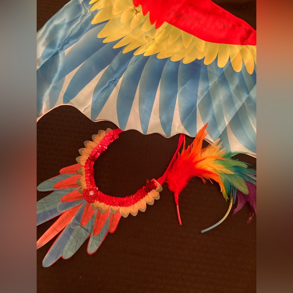 Parrot Rainbow accessories! Includes headband, wings, and necklace.